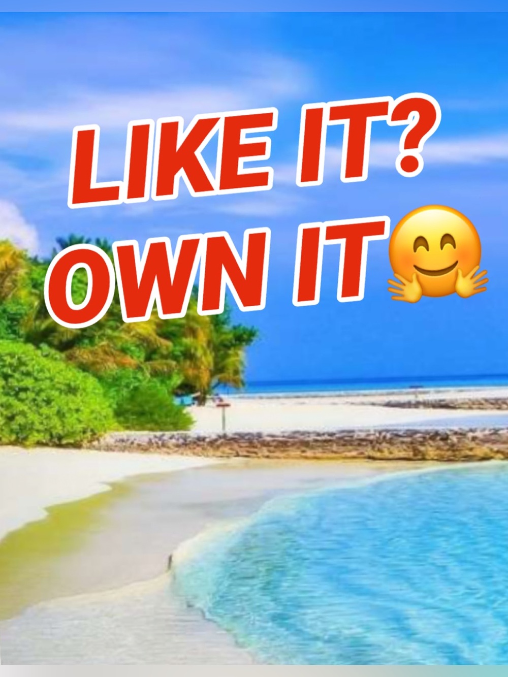 BUY TO ENJOY